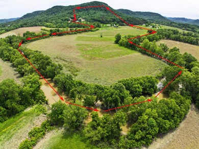 115 KY mountain acres!