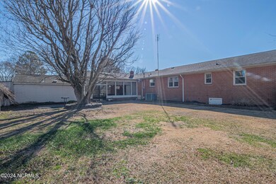 Rear Yard 2