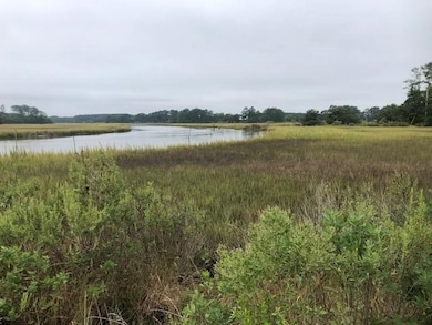 0 Fox Grove Rd, Parksley, VA 23421 - photo 3