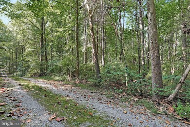 0 Terrapin Neck Rd, Shepherdstown, WV 25443 - photo 6