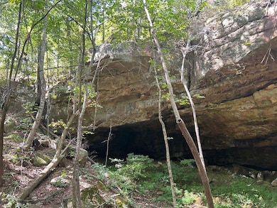 Lot 8 Junaluska Dr, Jamestown, TN 38556 - photo 4