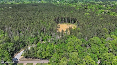 005 Pilgrim Rest Dr, Brandon, MS 39042 - photo 2