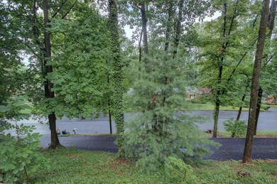 219 Forest Dr, Nazareth, PA 18064 - photo 7