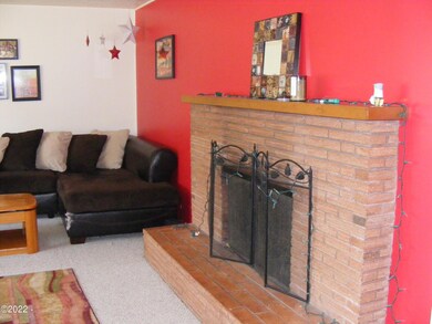 Liv Rm fireplace