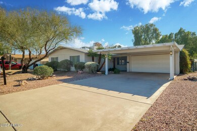 3819 W Carol Ave, Phoenix, AZ 85051 - photo 4