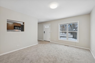 1502 Round Lake Dr, Round Lake Beach, IL 60073 - photo 5