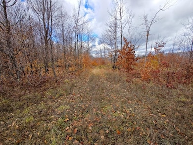 0 Mancelona Rd unit 25571179, Mancelona, MI 49659 - photo 5