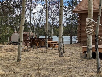 Hot Tub and garden shed
