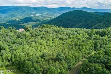 5-Lot 16 Browns Gap Rd_042_TNPC