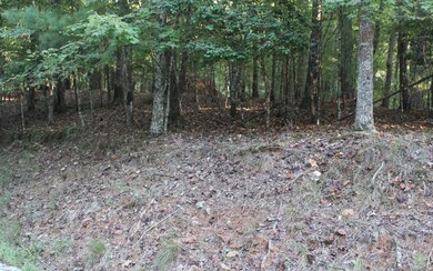 Additional View