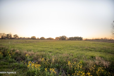 2500 Blk S Richfield Rd, Rayne, LA 70578 - photo 4