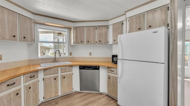 34704 Sweetpea Ln, Zephyrhills, FL 33541 - photo 6