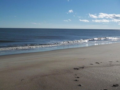 1408 Jungle Rd, Edisto Island, SC 29438 - photo 2
