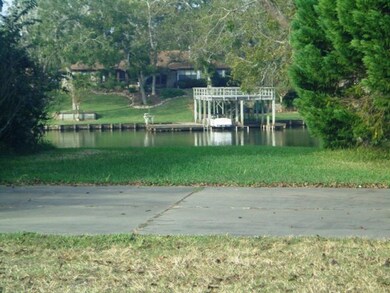 19912 County Road 510, Brazoria, TX 77422 - photo 5