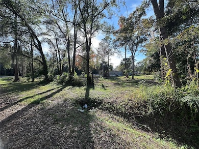 TBD E Lake St, Palatka, FL 32177 - photo 5