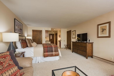 Tamarron Condos unit 213, Durango, CO 81301 - photo 5