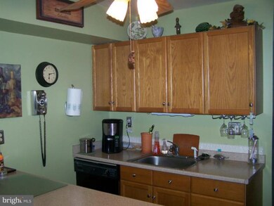 403 Nettle Hill Ln, Reisterstown, MD 21136 - photo 5