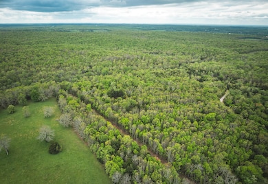 DJI_20250503143850_0528_D