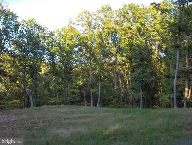 18718 Mount Lock Hill Rd, Sharpsburg, MD 21782 - photo 7