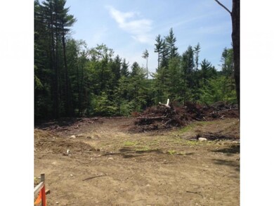 408/157.2 Brown Ridge, Weare, NH 03281 - photo 7