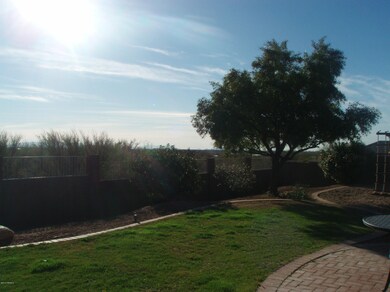 Beautiful back yard