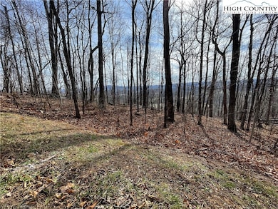 TBD Dr, Crumpler, NC 28617 - photo 2