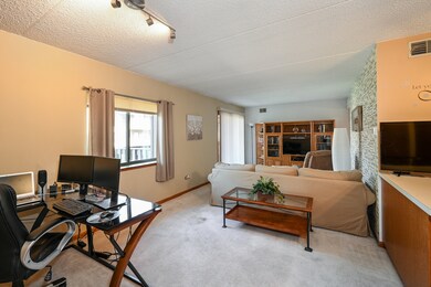 103 Caterpillar Dr unit 2D, Joliet, IL 60436 - photo 5
