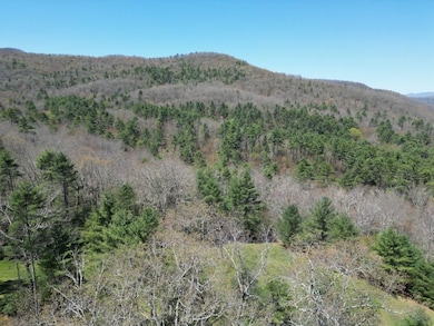 451 Pinecrest Ln, Marlinton, WV 24954 - photo 7