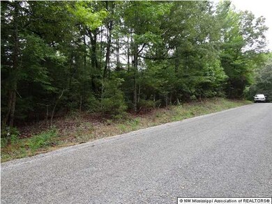 0 Dogwood Ranch Cir unit 2291518, Victoria, MS 38679 - photo 2