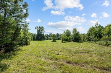 0 Holman Mill Rd unit 1151566, 8, Newlin, NC 27349 - photo 4