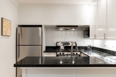 393 Commonwealth Ave unit Garden, Boston, MA 02115 - photo 5