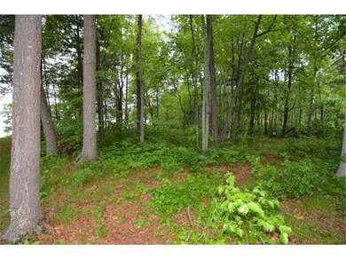 Summertime view of buildable portion of lot.