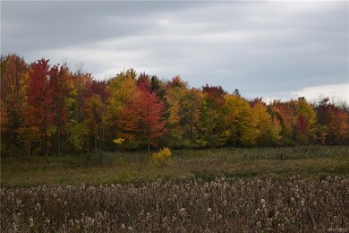 Enjoy Mother Natures Paint Brush right out the bac