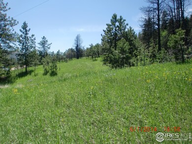 0 Davis Ranch Rd unit 737586, Bellvue, CO 80512 - photo 6