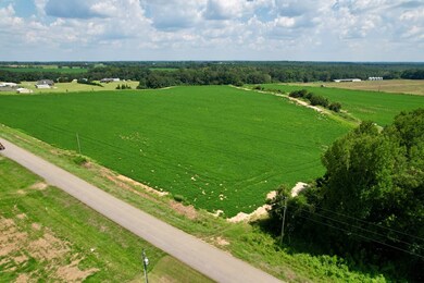 0 Judge Logue Rd, Wicksburg, AL 36352 - photo 5