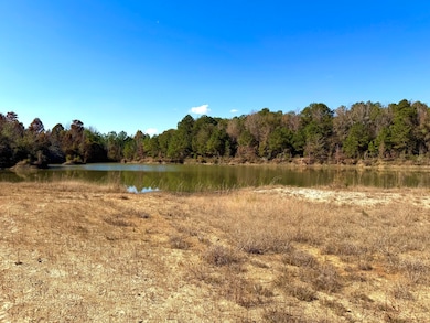 4134 Barton Ferry Rd, Columbus, MS 39705 - photo 4