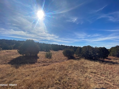 1D4F8DC2-C898-424D-890E-732B60383FAD