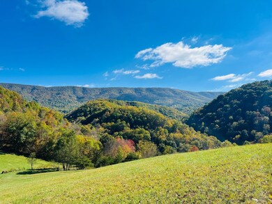 823 Pete Amos Rd, Lindside, WV 24951 - photo 6