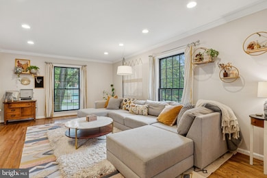 509 Whitingham Dr, Silver Spring, MD 20904 - photo 6