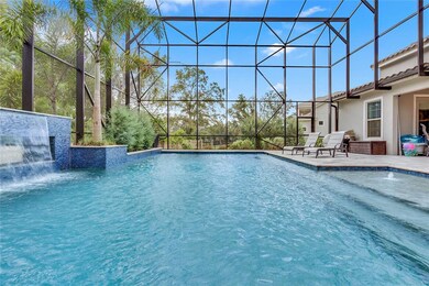 Luxury Screened-In Pool complete with lighting, fo