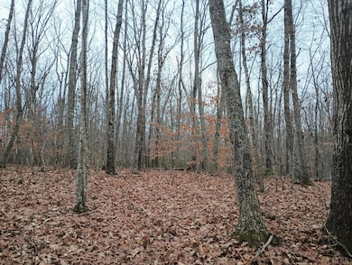 0 Axtell Rd unit 363502, Scottsville, VA 24590 - photo 3