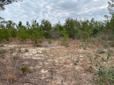 Walton Land 2