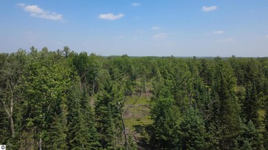 Off of Gallagher Rd, West Branch, MI 48661 - photo 4