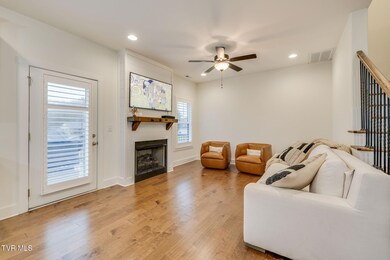 35 Palmetto Ct, Gray, TN 37615 - photo 7