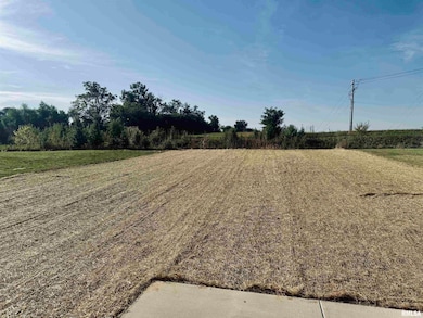 3826 W Fiona Way, Dunlap, IL 61525 - photo 3