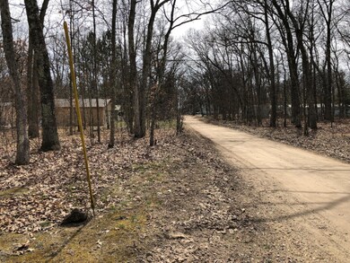 8966 26th Ave, Bitely, MI 49309 - photo 5