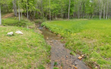 0 Headwaters Ln unit 7401442, Talking Rock, GA 30175 - photo 4