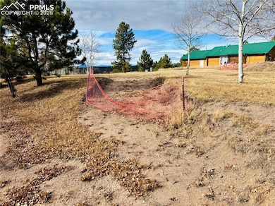 799 Elfin Glen Dr, Divide, CO 80814 - photo 2