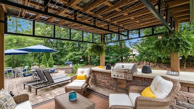 Backyard Oasis