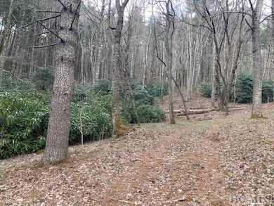 478 Windy Gap Rd, Cullowhee, NC 28723 - photo 2